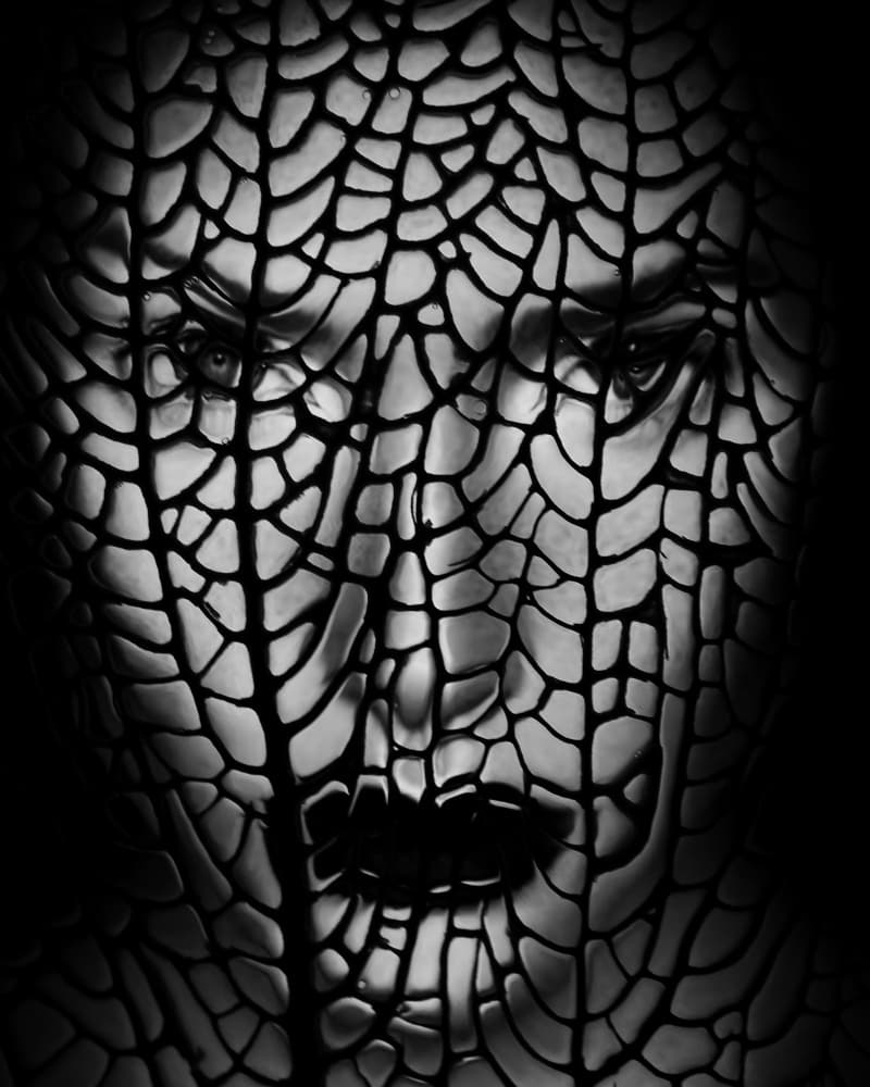Fractured Dark Beauty by Ivan Lesica — canvas wall art