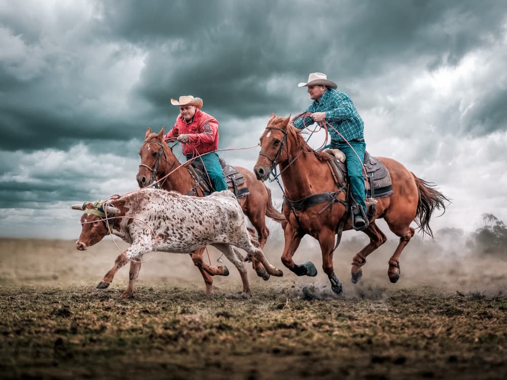 Western Team Roping by Frank Ma — canvas wall art