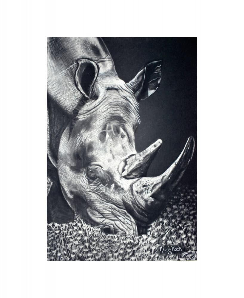 Powerful Rhino Grazing by Marchelle de Kock — canvas wall art