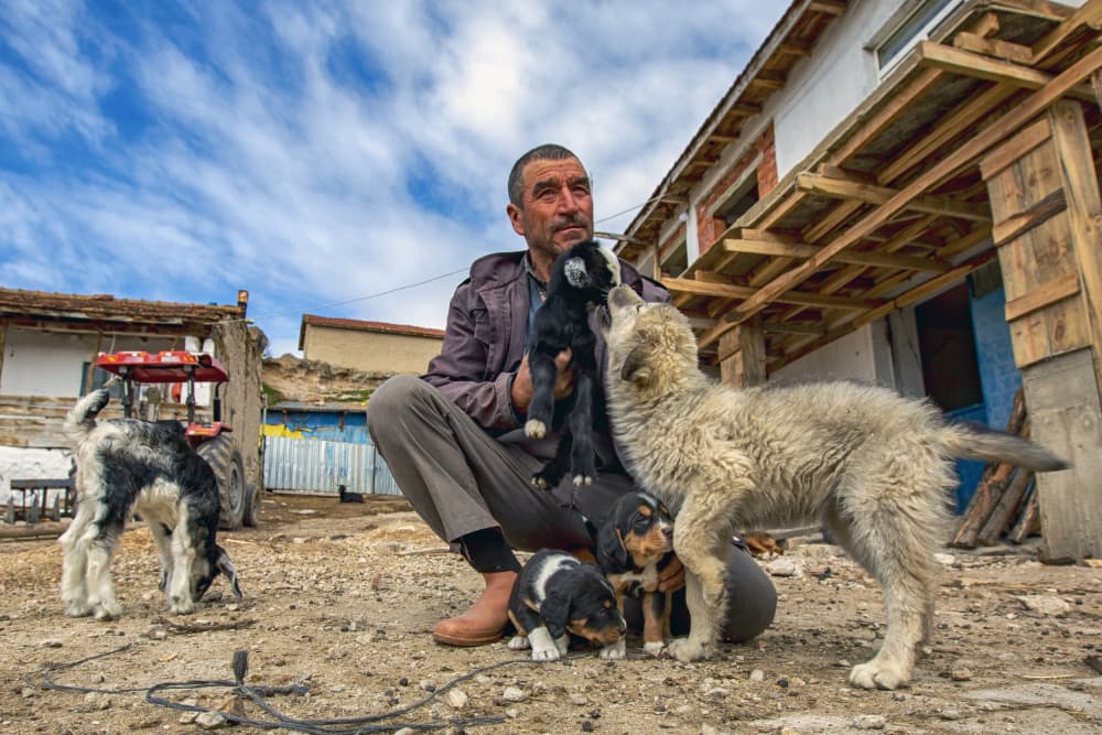Man Holding Baby Animals by Zühdü Bilgin — canvas wall art