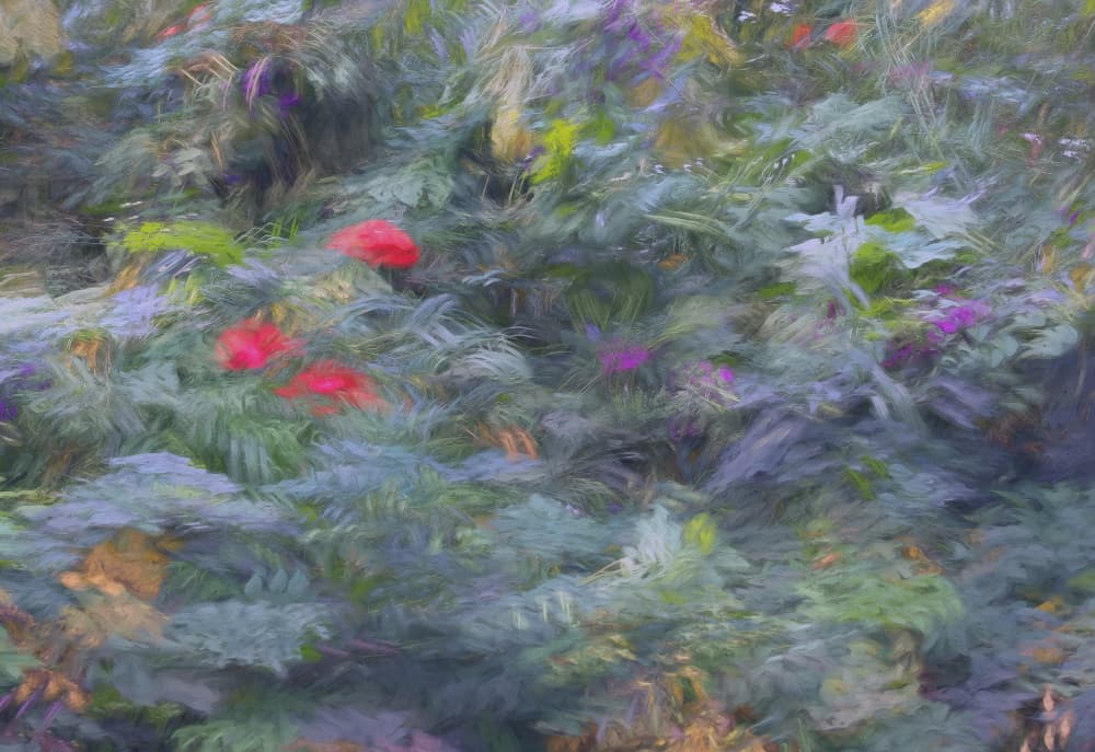 Impressionist Floral Garden by Jan van der Linden — canvas wall art