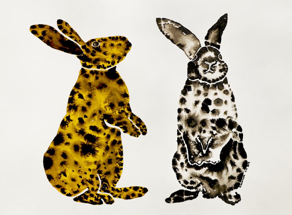 Spotted Rabbit Pair by Santhosh ch — canvas wall art