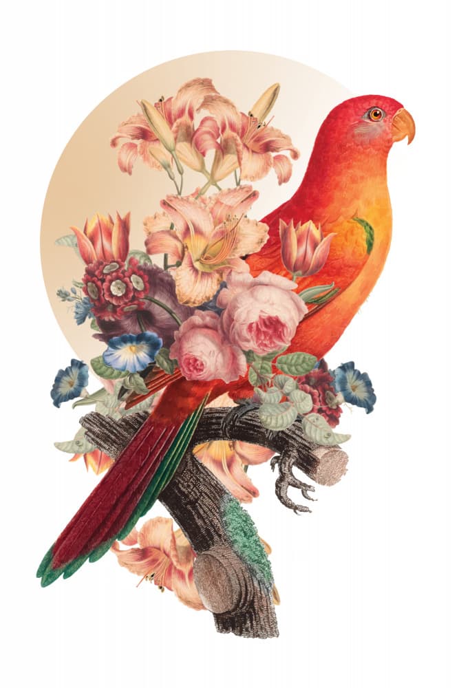 Vibrant Floral Parrot by Marja van den Hurk — canvas wall art
