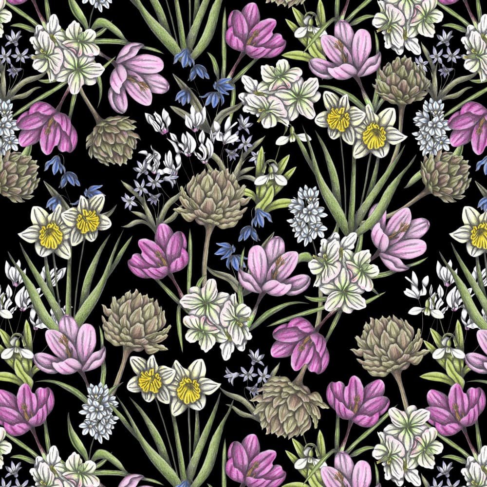 Black Botanical Blooms by Cecilia Battaini — canvas wall art