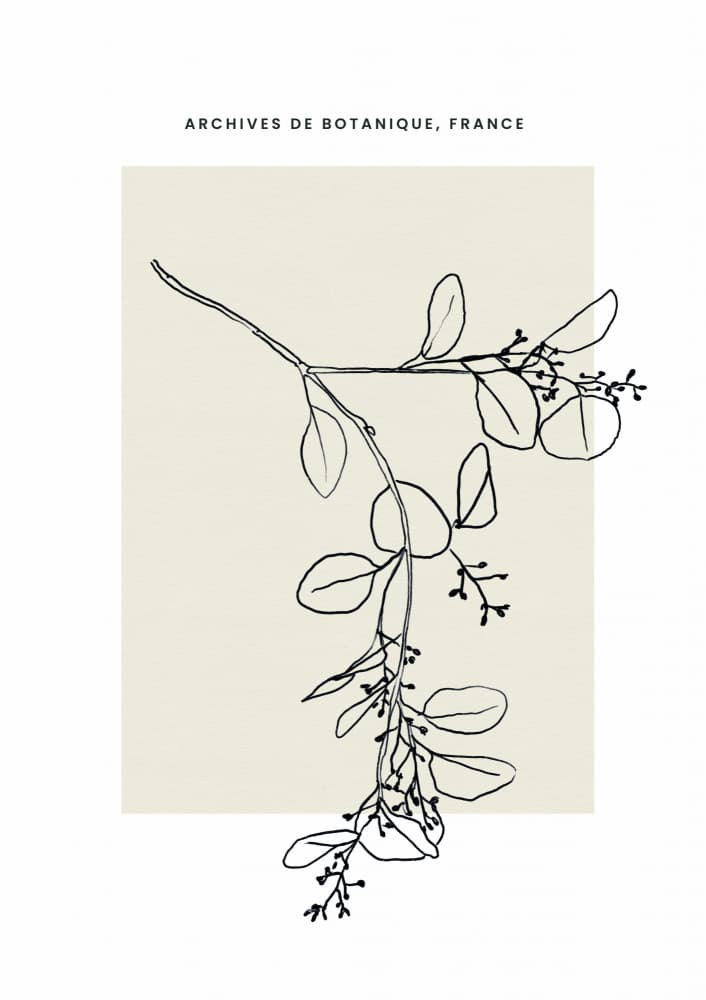 Abstractbotanicsno26 by Treechild — canvas wall art