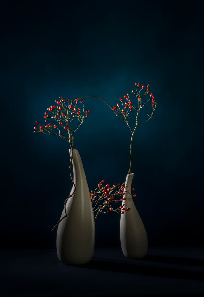 Red Berries Modern Vases by John-Mei Zhong — canvas wall art