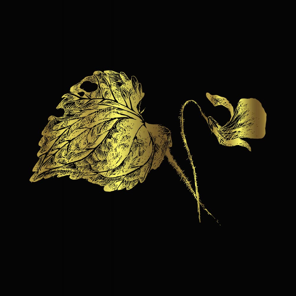 Golden Leaf and Bloom by Marika Barsrsind β canvas wall art