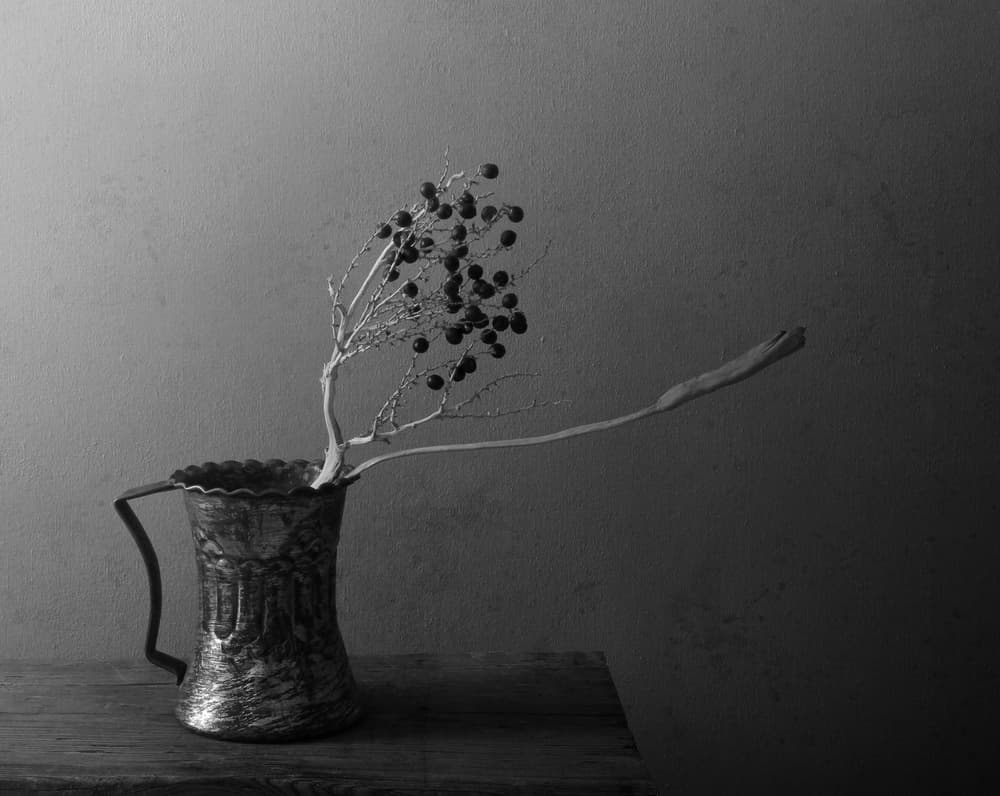 Dark Berries Still Life by Margaret Halaby — canvas wall art