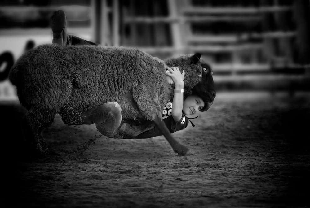 Young Mutton Buster by Ken Liang — canvas wall art