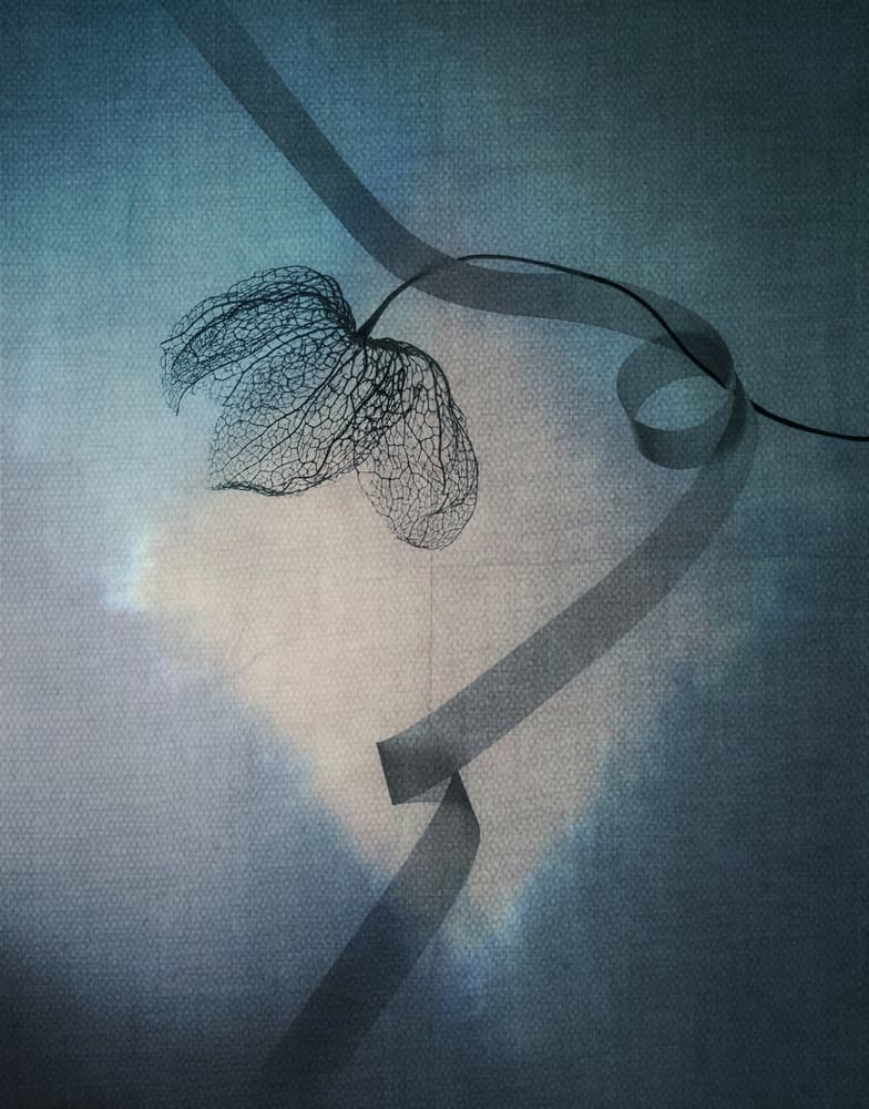 Ethereal Leaf and Ribbon by Shihya Kowatari — canvas wall art