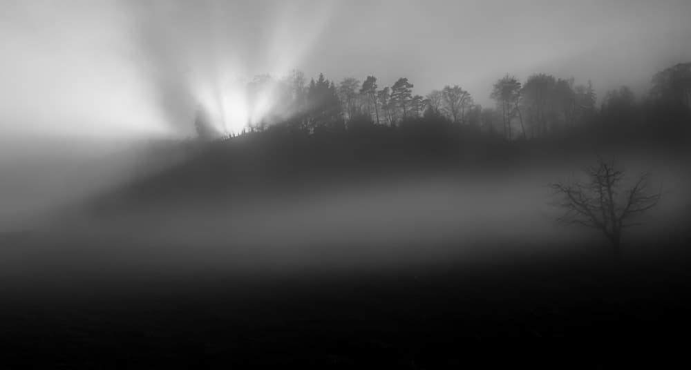 Sun Rays Through Fog by Nic Keller — canvas wall art