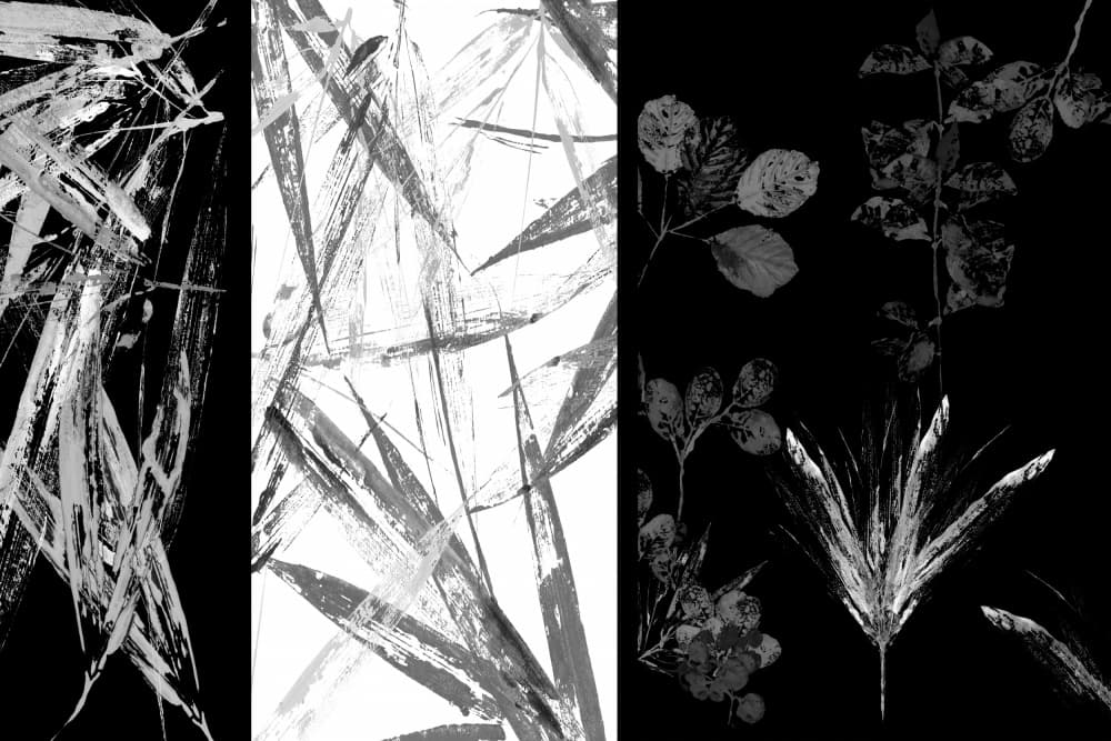 Botanical Brushstroke Forms by cartissi — canvas wall art