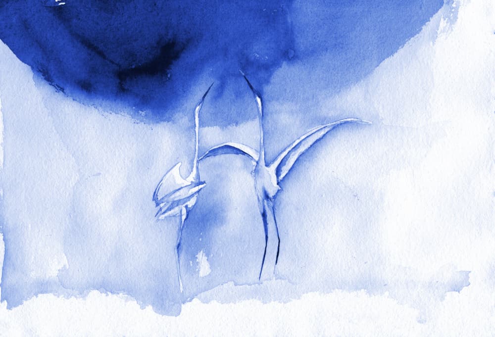 Elegant Blue Cranes by RodMacIver — canvas wall art