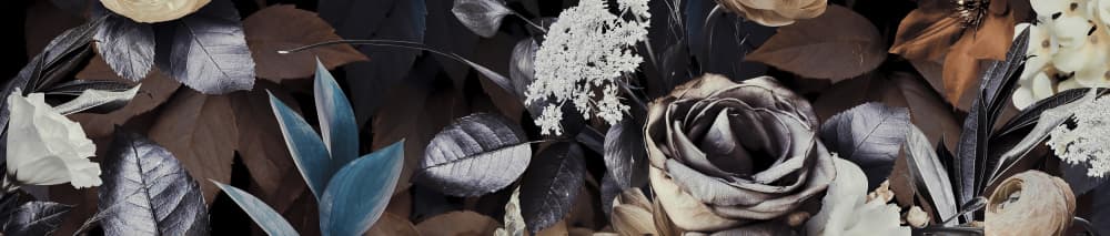 Elegant Rose and Foliage by Andrea Haase — canvas wall art