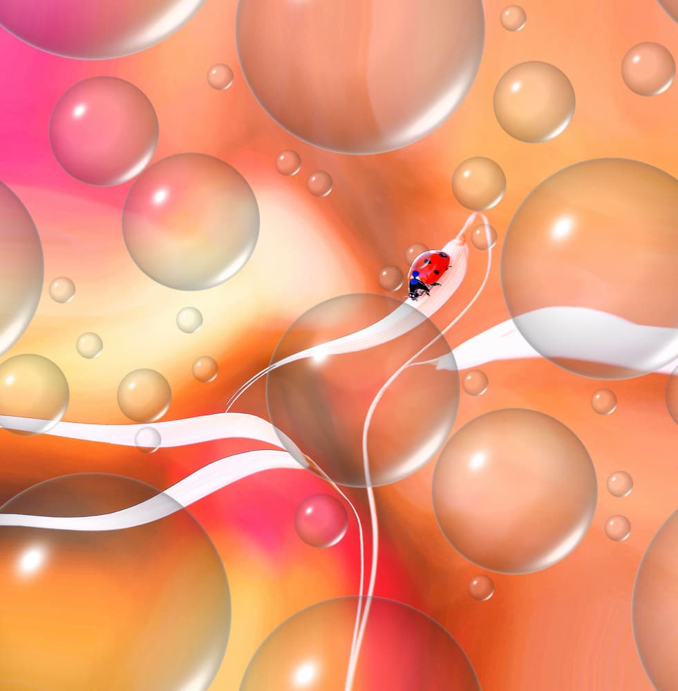 Ladybug Among Bubbles by Thierry Dufour — canvas wall art