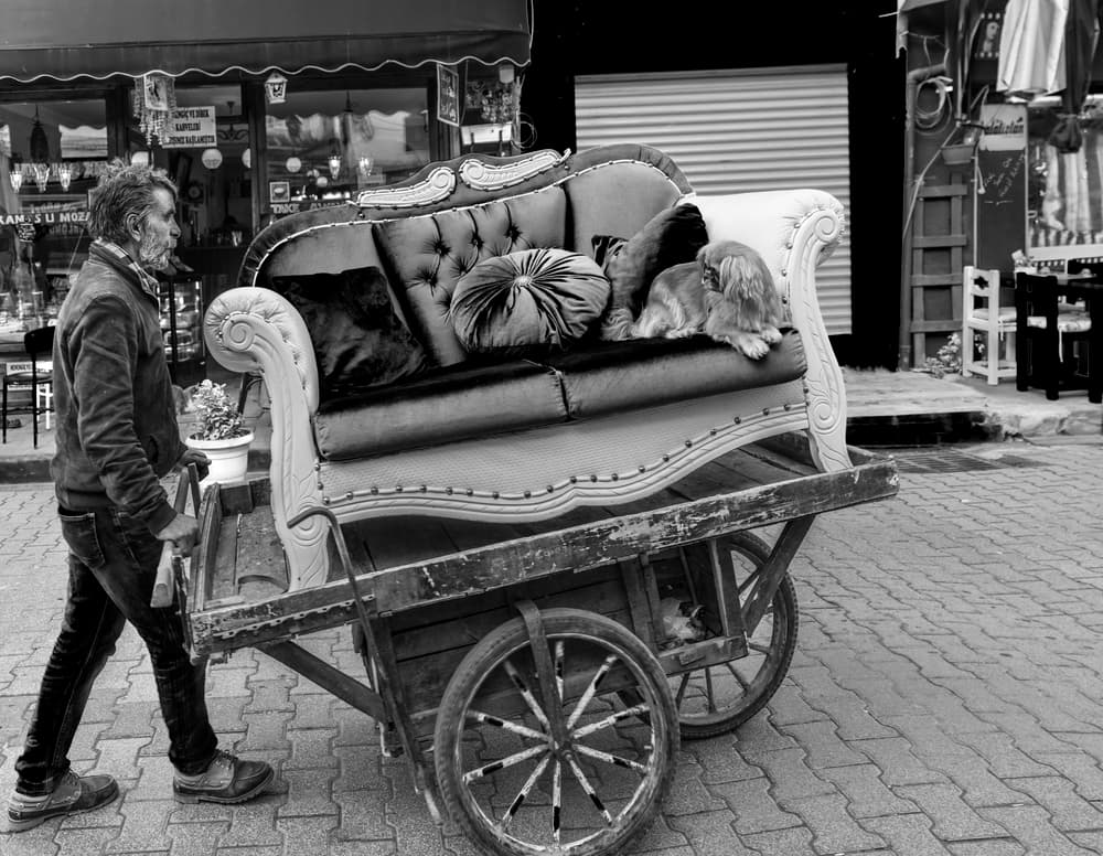 Man Moving Sofa Dogs by Ömer Ates Kızıltug — canvas wall art