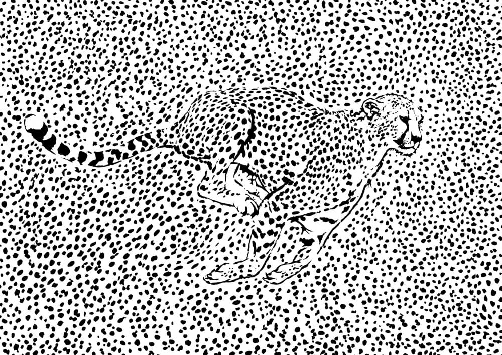 Running Spotted Cheetah by Carlo Kaminski — canvas wall art