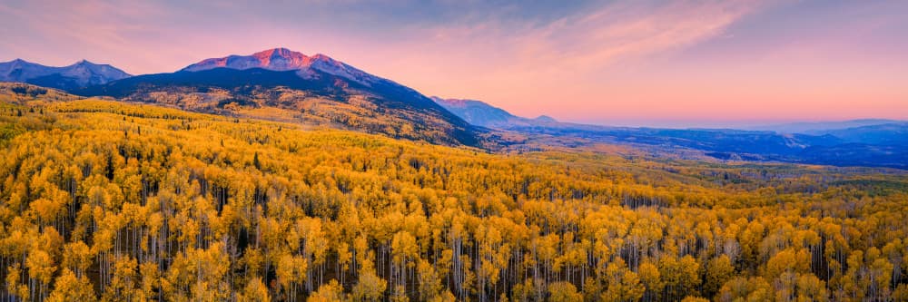 Golden Aspen Sunset by John Fan — canvas wall art