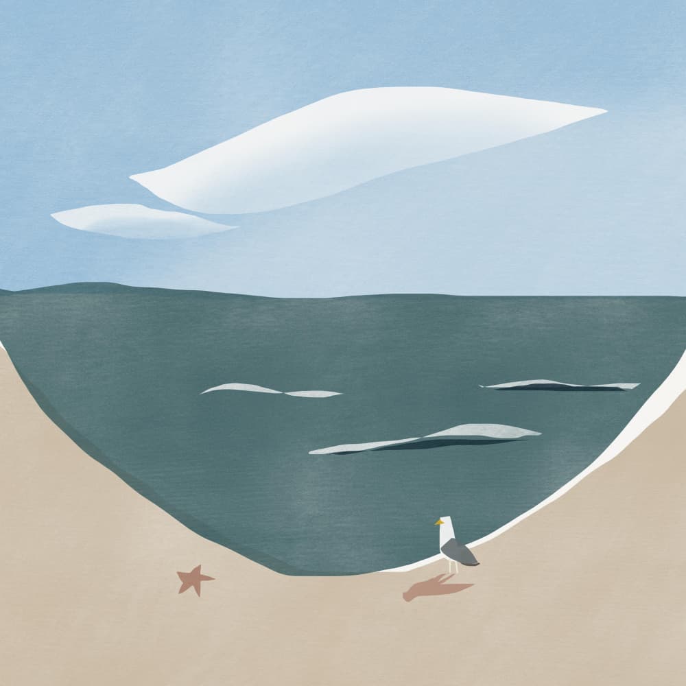 Seagull At The Beach by Little Dean — canvas wall art
