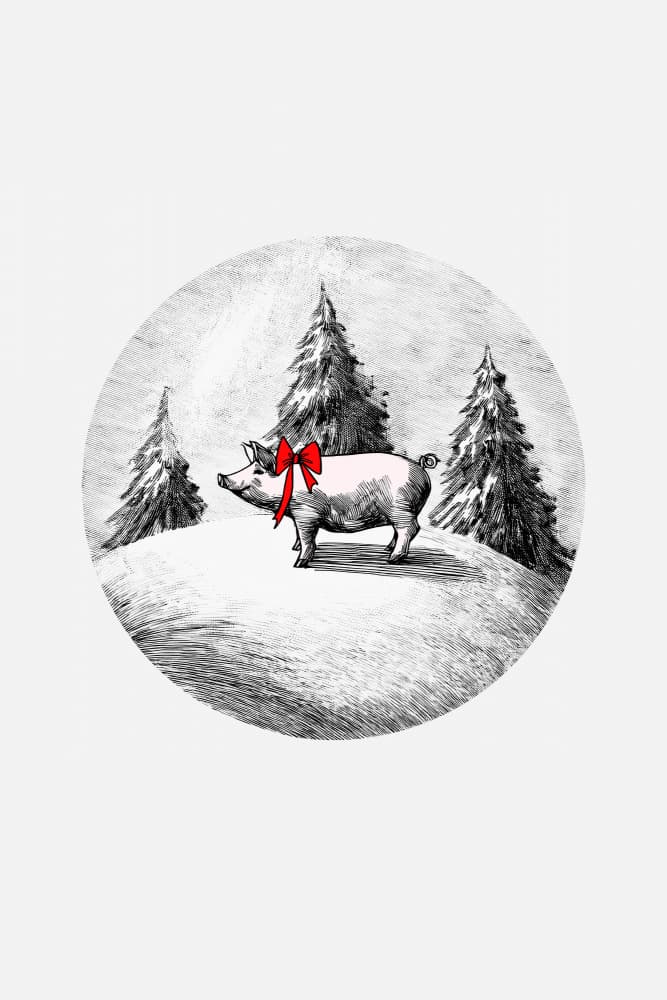Christmas Pig in Snow by casa cartissi — canvas wall art