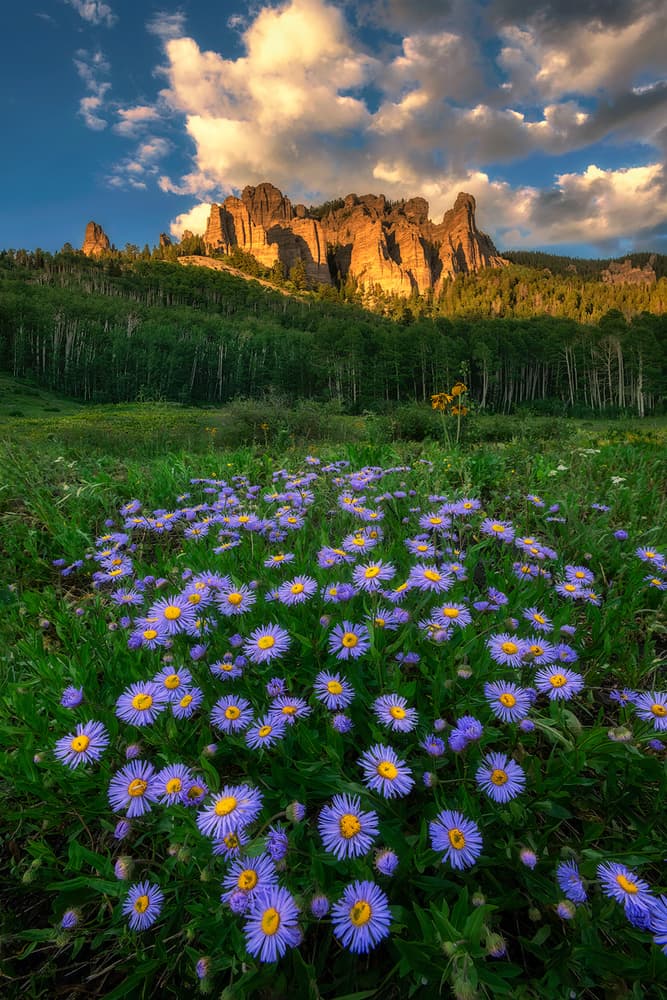 Majestic Wildflower Mountains by Mei Xu — canvas wall art