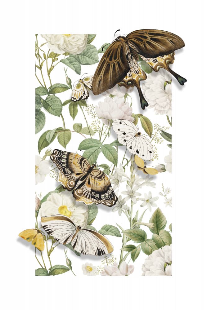 The Spring Butterflies by Marja van den Hurk — canvas wall art