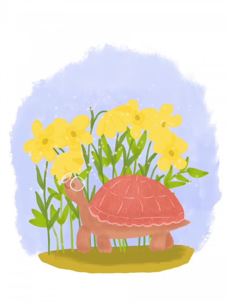 Whimsical Turtle With Glasses by Aliya Putrus — canvas wall art