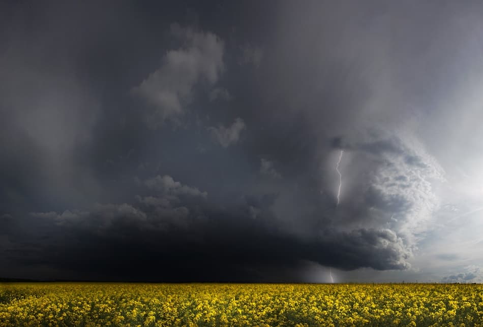 Lightning Strikes Yellow Field by Nicolas Schumacher — canvas wall art