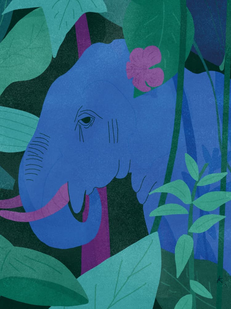 Blue Elephant in Jungle by Sylwia Kubus — canvas wall art