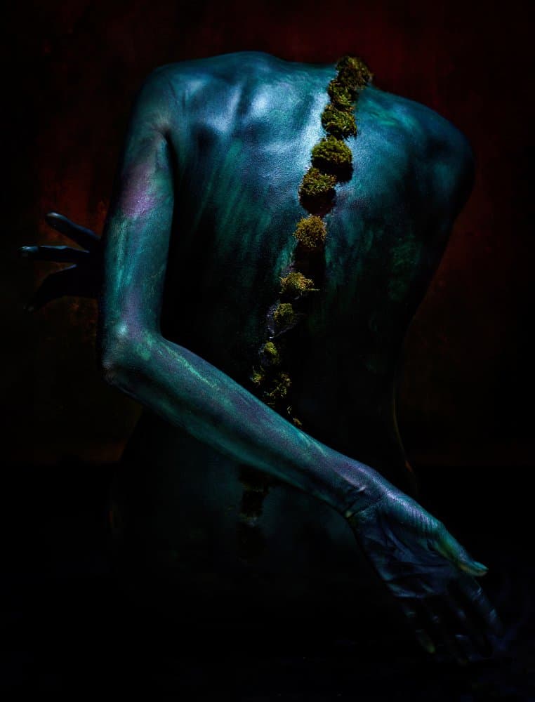 Ethereal Moss Back by Ivan Kovalev — canvas wall art