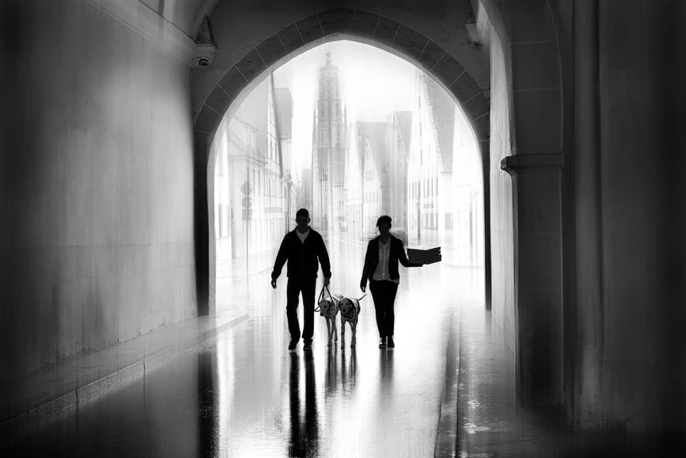Urban Passage with Dogs by Roswitha Schleicher-Schwarz — canvas wall art