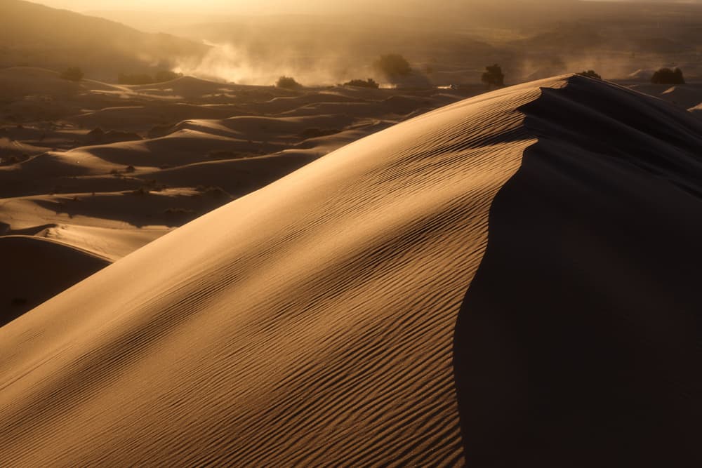 Golden Desert Dunes by Rostovskiy Anton — canvas wall art