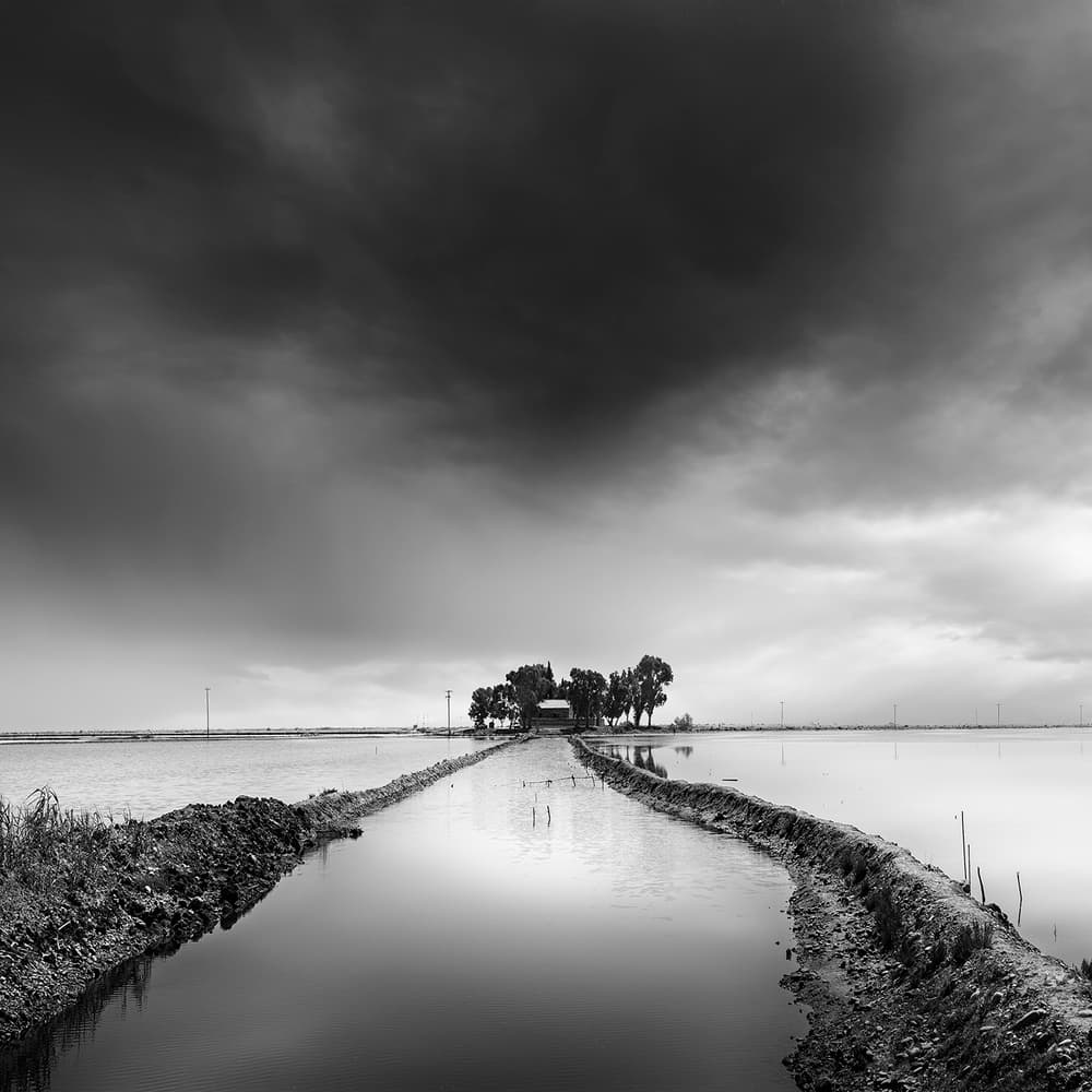 Moody Path to Solitude by George Digalakis — canvas wall art