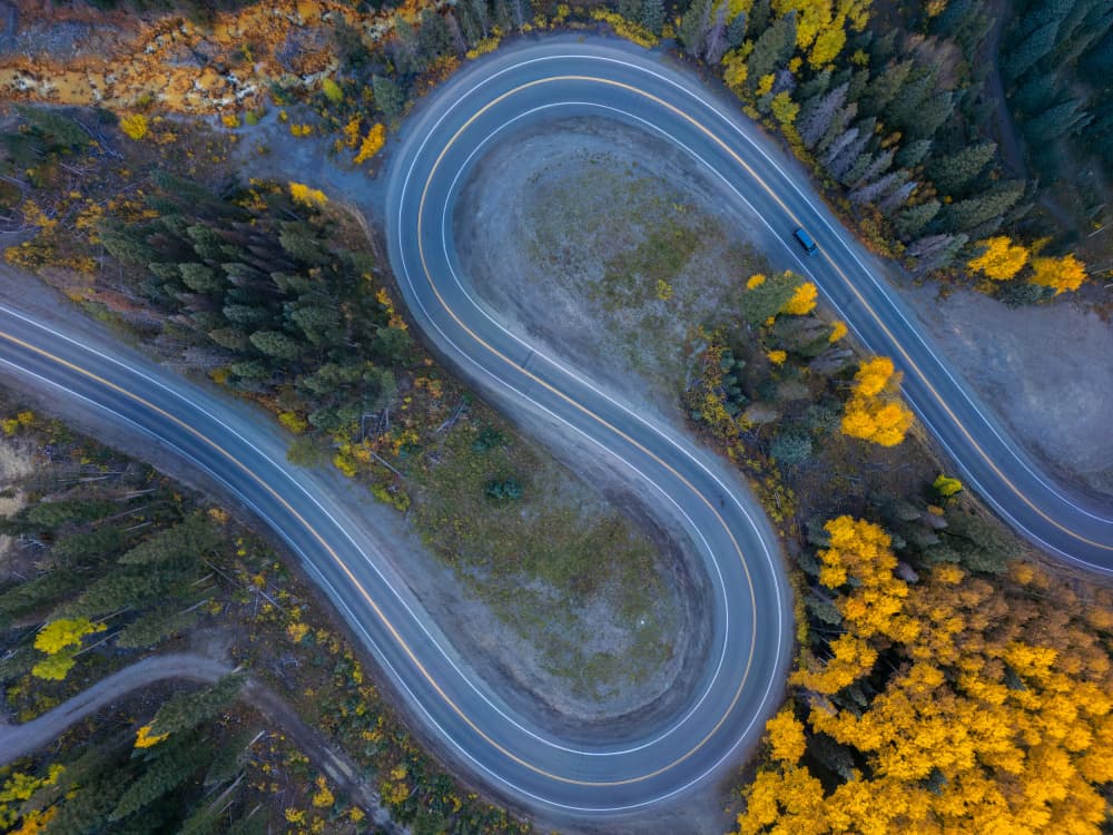 Golden Autumn Drive by Mike He — canvas wall art