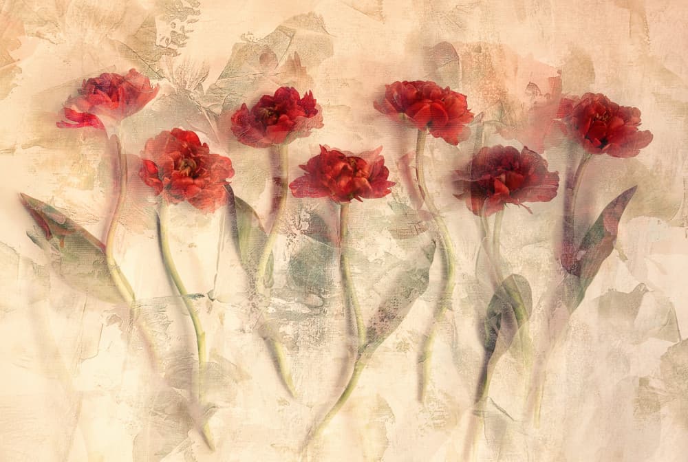 Dreamy Red Tulips by Ellen van Deelen — canvas wall art