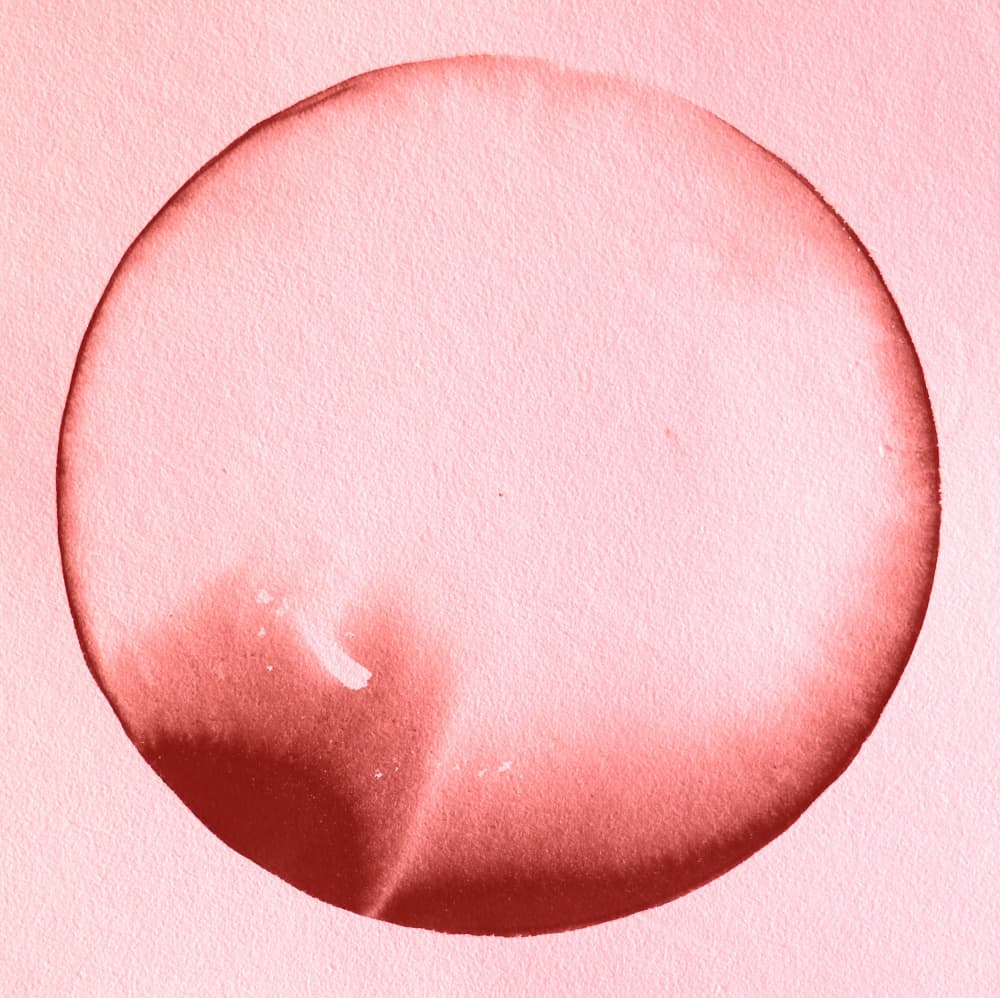 Red Abstract Circle by Santhosh ch — canvas wall art