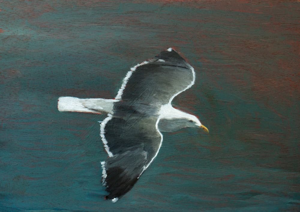 Graceful Seagull Flight by Claire Lerner — canvas wall art