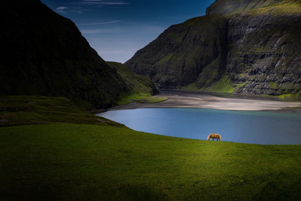 Faroe Islands Mountain Horse by Dennis Zhang — canvas wall art