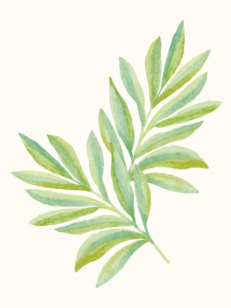Gentle Green Branches by Kristian Gallagher — canvas wall art