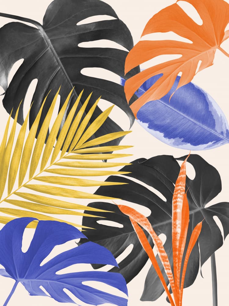 Colorful Tropical Foliage by Vitor Costa — canvas wall art