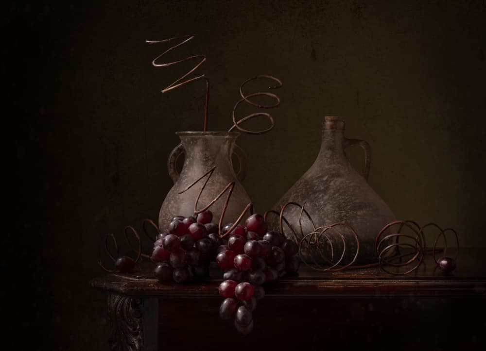 Dark Grapes Still Life by Margareth Perfoncio — canvas wall art