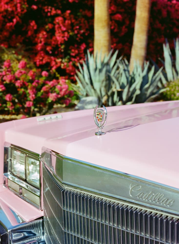 Vintage Pink Tropical Car by Bethany Young — canvas wall art