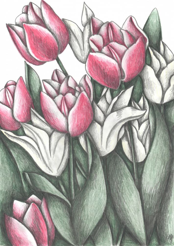 Vibrant Tulip Garden by Cecilia Battaini — canvas wall art