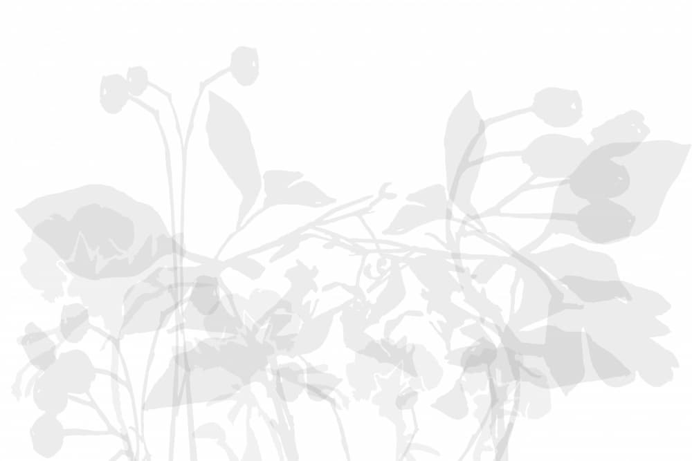 Subtle Botanical Silhouettes by cartissi — canvas wall art