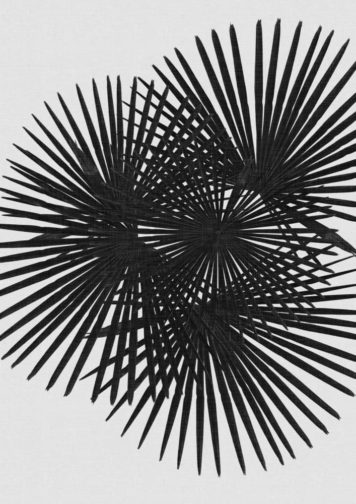 Dynamic Optical Starbursts by Orara Studio — canvas wall art