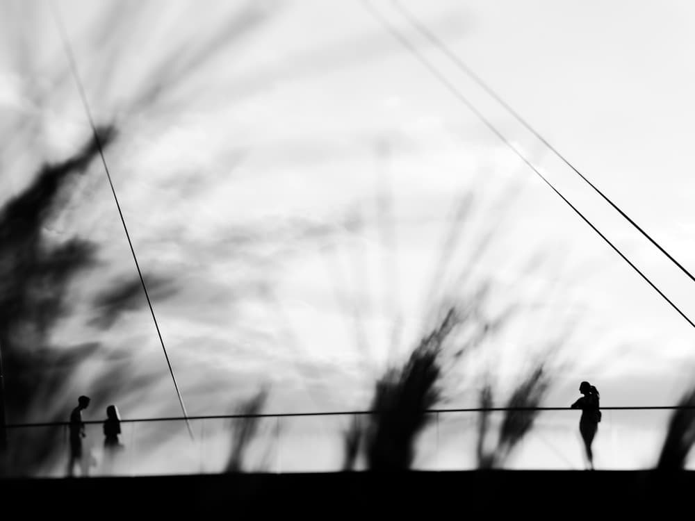 Silhouettes Under Sky by Marius Surleac — canvas wall art