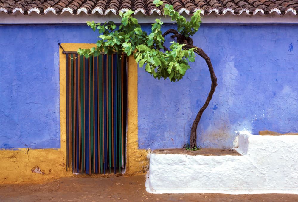 Colorful Rustic Door by Roland M Schwerdtfeger — canvas wall art