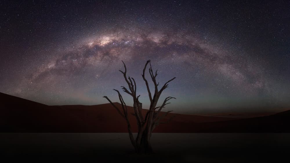 Milky Way Desert Tree by Yun Gong — canvas wall art