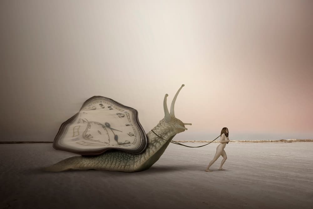 slowness of time by Christine von Diepenbroek — canvas wall art