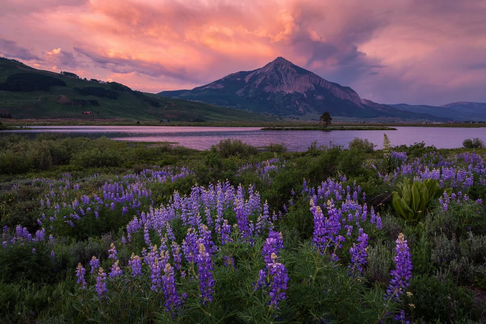 Purple Mountain Lake Sunset by Mei Xu — canvas wall art